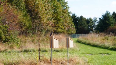 Yaban parkının kuş evi manzarası