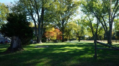 Parkta renkli ağaçlar ve yapraklarla güzel sonbahar manzarası
