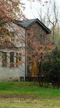 Sonbaharda ağaçlardaki renkli ve güzel yapraklar