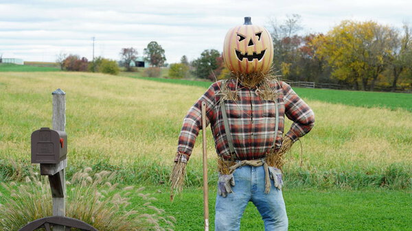 Взгляд на украшение Хэллоуина в праздник Хэллоуин