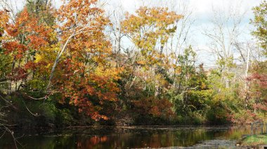 Renkli yaprakları ve sudaki yansımasıyla güzel sonbahar manzarası