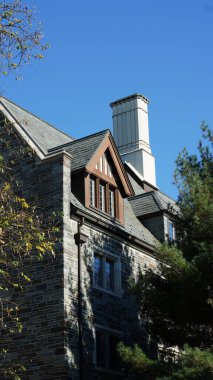 Amerika 'da eski binalar ve sonbahar yapraklarıyla güzel bir üniversite kampüs manzarası.