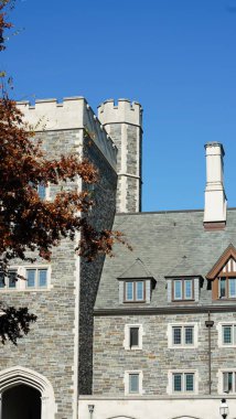 Amerika 'da eski binalar ve sonbahar yapraklarıyla güzel bir üniversite kampüs manzarası.