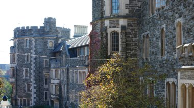 Amerika 'da eski binalar ve sonbahar yapraklarıyla güzel bir üniversite kampüs manzarası.