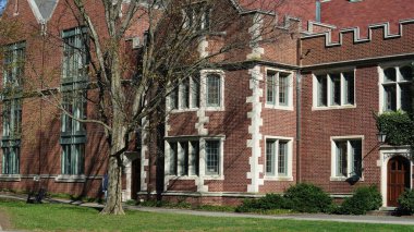 Amerika 'da eski binalar ve sonbahar yapraklarıyla güzel bir üniversite kampüs manzarası.