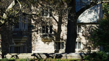 Amerika 'da eski binalar ve sonbahar yapraklarıyla güzel bir üniversite kampüs manzarası.