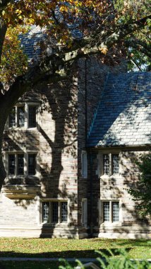 Amerika 'da eski binalar ve sonbahar yapraklarıyla güzel bir üniversite kampüs manzarası.