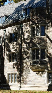 Amerika 'da eski binalar ve sonbahar yapraklarıyla güzel bir üniversite kampüs manzarası.