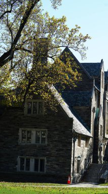 Amerika 'da eski binalar ve sonbahar yapraklarıyla güzel bir üniversite kampüs manzarası.