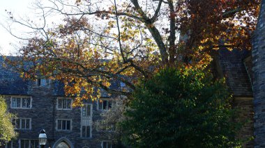 Amerika 'da eski binalar ve sonbahar yapraklarıyla güzel bir üniversite kampüs manzarası.