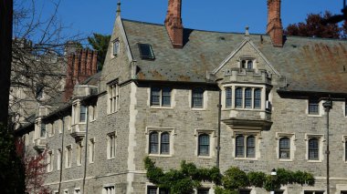 Amerika 'da eski binalar ve sonbahar yapraklarıyla güzel bir üniversite kampüs manzarası.