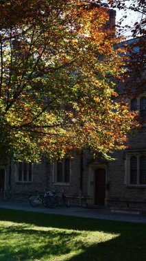 Amerika 'da eski binalar ve sonbahar yapraklarıyla güzel bir üniversite kampüs manzarası.