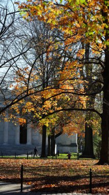 Amerika 'da eski binalar ve sonbahar yapraklarıyla güzel bir üniversite kampüs manzarası.