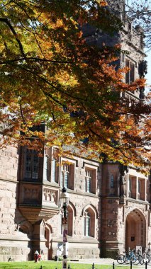 Amerika 'da eski binalar ve sonbahar yapraklarıyla güzel bir üniversite kampüs manzarası.