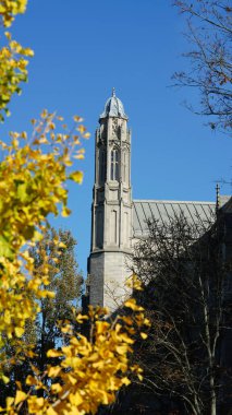Amerika 'da eski binalar ve sonbahar yapraklarıyla güzel bir üniversite kampüs manzarası.