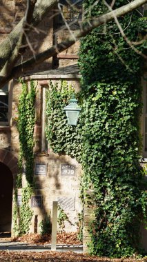 Amerika 'da eski binalar ve sonbahar yapraklarıyla güzel bir üniversite kampüs manzarası.