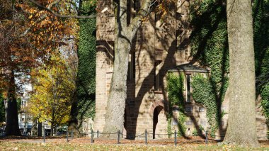 Amerika 'da eski binalar ve sonbahar yapraklarıyla güzel bir üniversite kampüs manzarası.