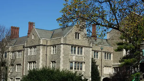 The beautiful university campus view with old buildings and autumn leaves in USA