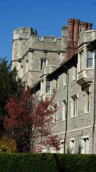 Amerika 'da eski binalar ve sonbahar yapraklarıyla güzel bir üniversite kampüs manzarası.