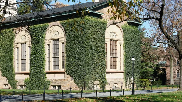 Красивый Вид Университетского Кампуса Старыми Зданиями Осенними Листьями Сша Лицензионные Стоковые Фото