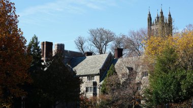 Amerika 'da eski binalar ve sonbahar yapraklarıyla güzel bir üniversite kampüs manzarası.