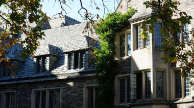 Amerika 'da eski binalar ve sonbahar yapraklarıyla güzel bir üniversite kampüs manzarası.