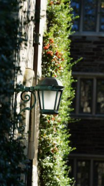 Amerika 'da eski binalar ve sonbahar yapraklarıyla güzel bir üniversite kampüs manzarası.