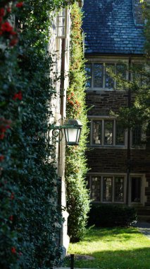 Amerika 'da eski binalar ve sonbahar yapraklarıyla güzel bir üniversite kampüs manzarası.