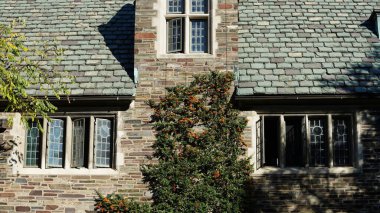 Amerika 'da eski binalar ve sonbahar yapraklarıyla güzel bir üniversite kampüs manzarası.