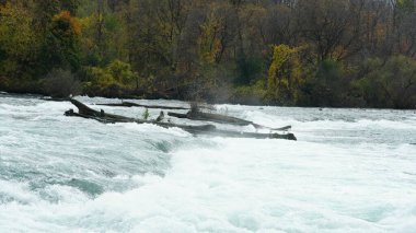 Sonbaharda akan sular ve renkli ormanlarla dolu güzel nehir manzarası.