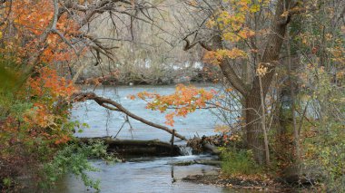 Sonbaharda akan sular ve renkli ormanlarla dolu güzel nehir manzarası.