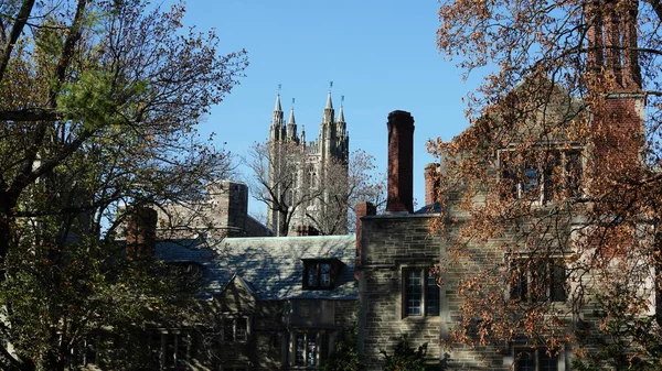 The beautiful university campus view with old buildings and autumn leaves in USA