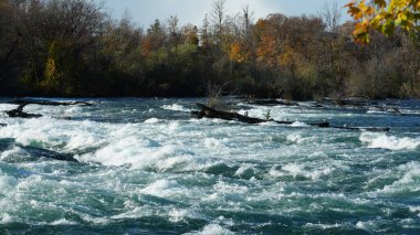 Sonbaharda akan sular ve renkli ormanlarla dolu güzel nehir manzarası.