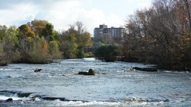 Sonbaharda akan sular ve renkli ormanlarla dolu güzel nehir manzarası.