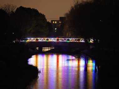 Festival akşamında renkli ve güzel ışıklar yanıyor.