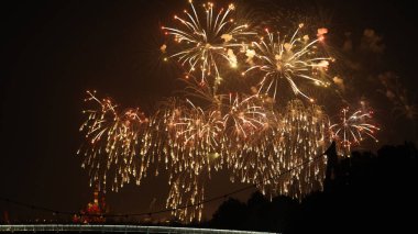 Renkli ve güzel havai fişek gösterisi. Karanlık gökyüzü geceleri arka planda.