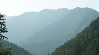 Yeşil ormanlı güzel dağlar ve püsküren kaya uçurumları Çin 'in kırsal kesimlerinde arka plan olarak kullanılıyor.