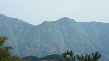 Yeşil ormanlı güzel dağlar ve püsküren kaya uçurumları Çin 'in kırsal kesimlerinde arka plan olarak kullanılıyor.