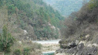 Nehir vadisi manzarası, baharda arka planda dağlar ve ormanlar.