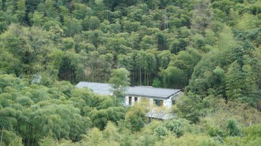 Yeşil bambu ormanları ve Çin kırsalının arka planında küçük kır yolu olan güzel dağlar manzaralar.