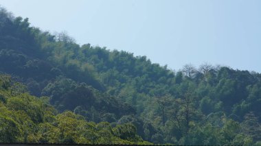 Yeşil bambu ormanları ve Çin kırsalının arka planında küçük kır yolu olan güzel dağlar manzaralar.