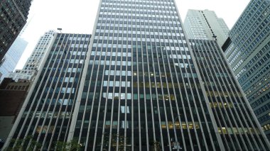 Arka planda gökdelenler ve eski binalar olan New York şehri manzarası.