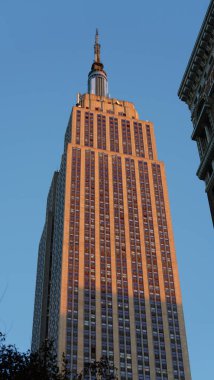 Arka planda gökdelenler ve eski binalar olan New York şehri manzarası.