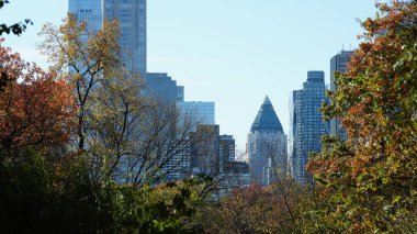 Sonbaharda arka planda renkli sonbahar ağaçları ve binaları olan güzel New York şehri manzarası