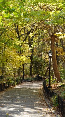 Güzel Central Park sonbahar manzarası New York 'taki renkli ağaçlarla