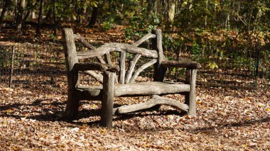 Sonbaharda parkta bir ahşap sandalye manzarası