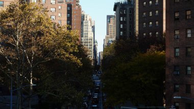 Sonbaharda arka planda renkli sonbahar ağaçları ve binaları olan güzel New York şehri manzarası