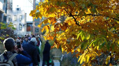 Sonbaharda arka planda renkli sonbahar ağaçları ve binaları olan güzel New York şehri manzarası
