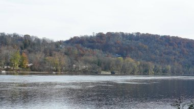 Sonbaharda akan nehrin yanında olduğu doğal parkın renkli orman manzarası