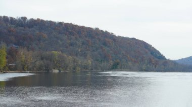 Sonbaharda akan nehrin yanında olduğu doğal parkın renkli orman manzarası